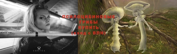 шишки Абдулино