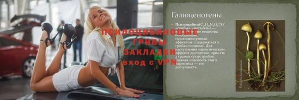 шишки Абдулино