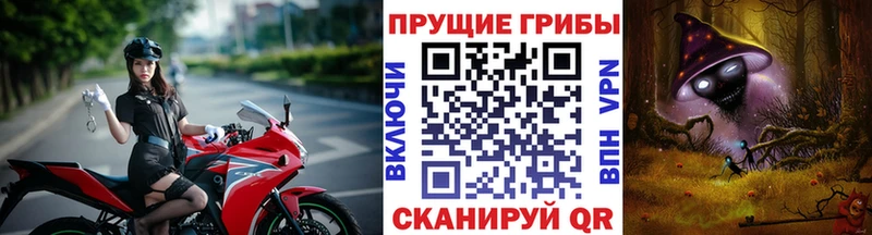 Псилоцибиновые грибы Psilocybe  Приморско-Ахтарск 